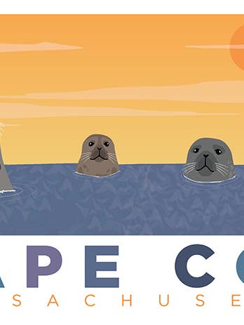 Les phoques de Cape Cod pour la vente par LOST DOG art & frame