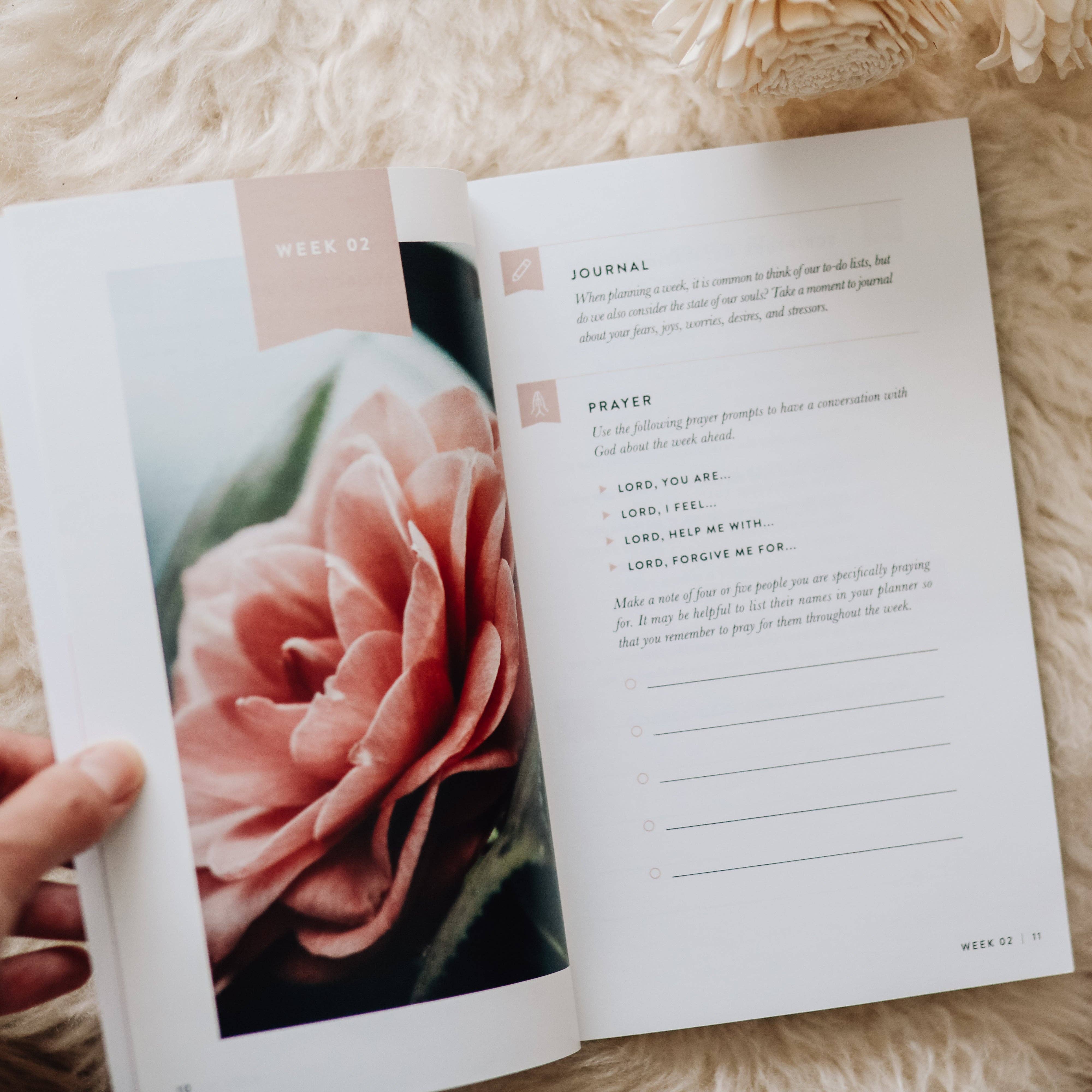 The Daily Grace Co - Wholesale Religion Book - Fix Your Focus - A 52-Week Guide to Help You Put God First3