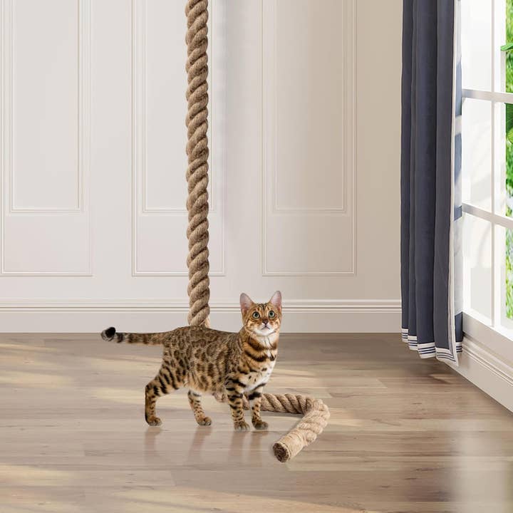VIGOR - Wholesale Pet scratcher – Cat - Cat Climbing Rope with Hook for Ceiling & Wall Mounted7