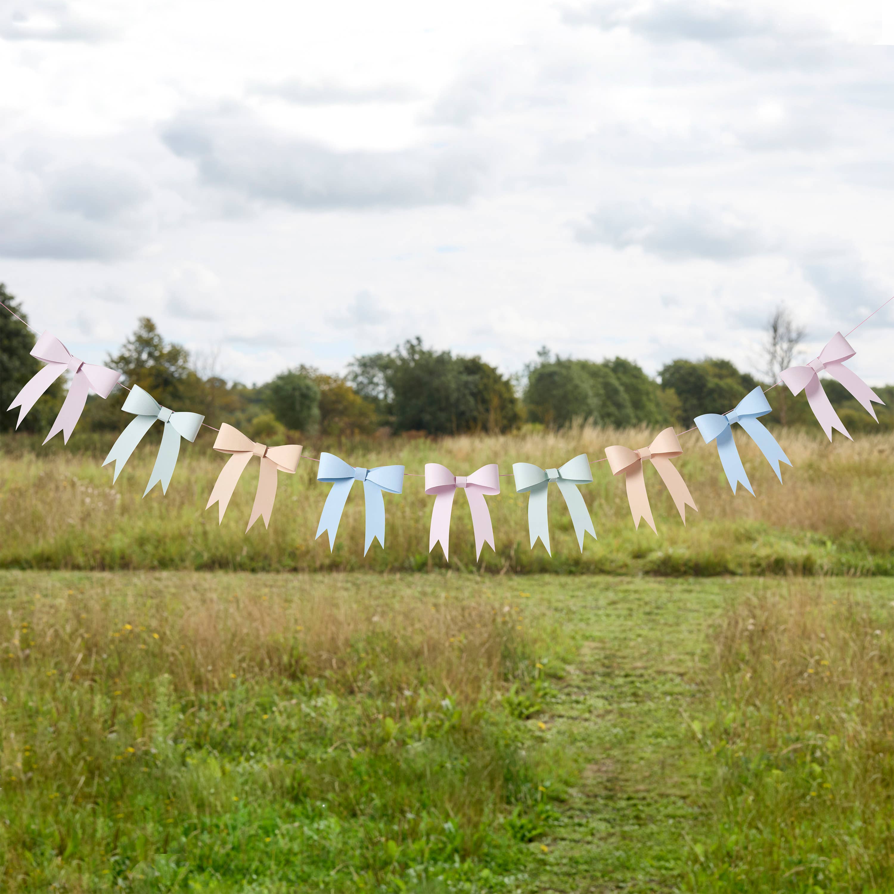 Hootyballoo by Club Green - Wholesale Bunting/Garland - Tea Party 3D Card Bow Garland 2.5m0