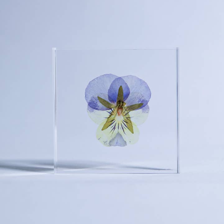 Sola cube - Wholesale Decorative Tabletop Object - Viola2