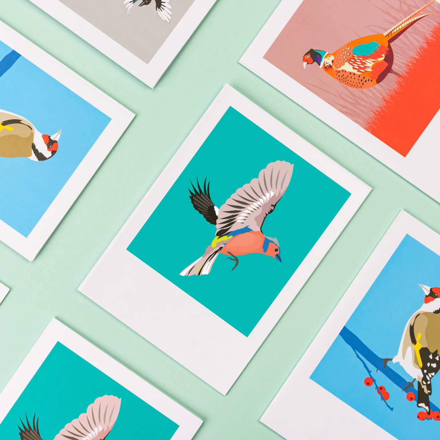 Pawpear - Vendita all'ingrosso Biglietti di auguri generici - Biglietto d'auguri Chaffinch3