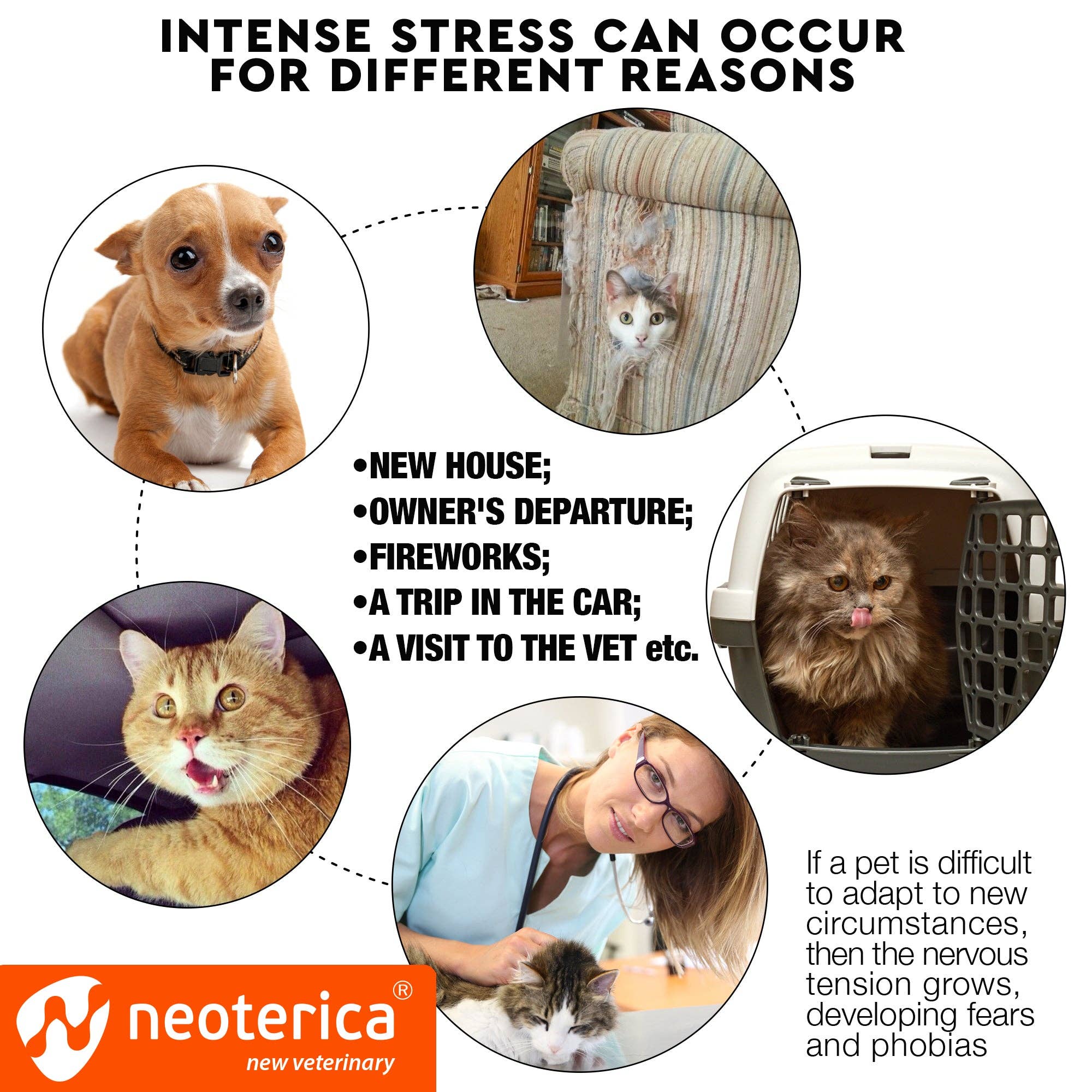 Beloved Pets - Wholesale Pet Scratcher - Cat - RELAXIV Calming Pheromone Spray & Scratch Repellent for Cats - Reduces Scratching Furniture, Pee - During Travel, Fireworks, Thunder, Vet Zone - Helps to Relief Stress, Fighting, Hiding1