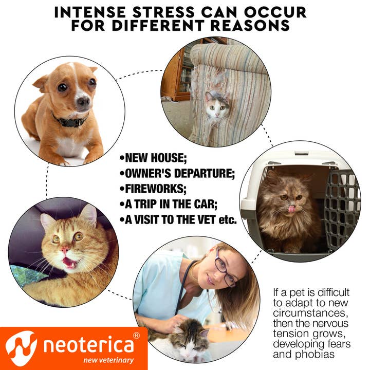 Beloved Pets - Wholesale Pet Scratcher - Cat - RELAXIV Calming Pheromone Spray & Scratch Repellent for Cats - Reduces Scratching Furniture, Pee - During Travel, Fireworks, Thunder, Vet Zone - Helps to Relief Stress, Fighting, Hiding1