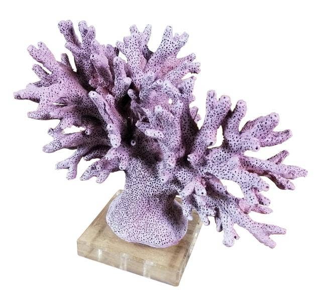 Michael & Philipp Noll e. K. – Großhandel Tischdeko – Koralle Statue 20 cm1