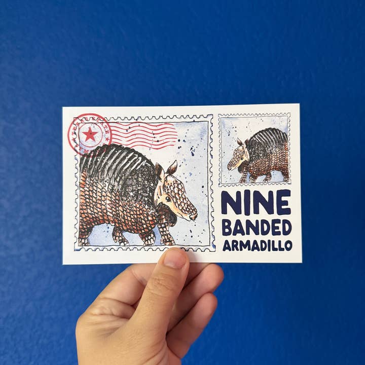 Nine-Banded Armadillo 4x6" Postcard for wholesale by Where’d The Wild Things Go