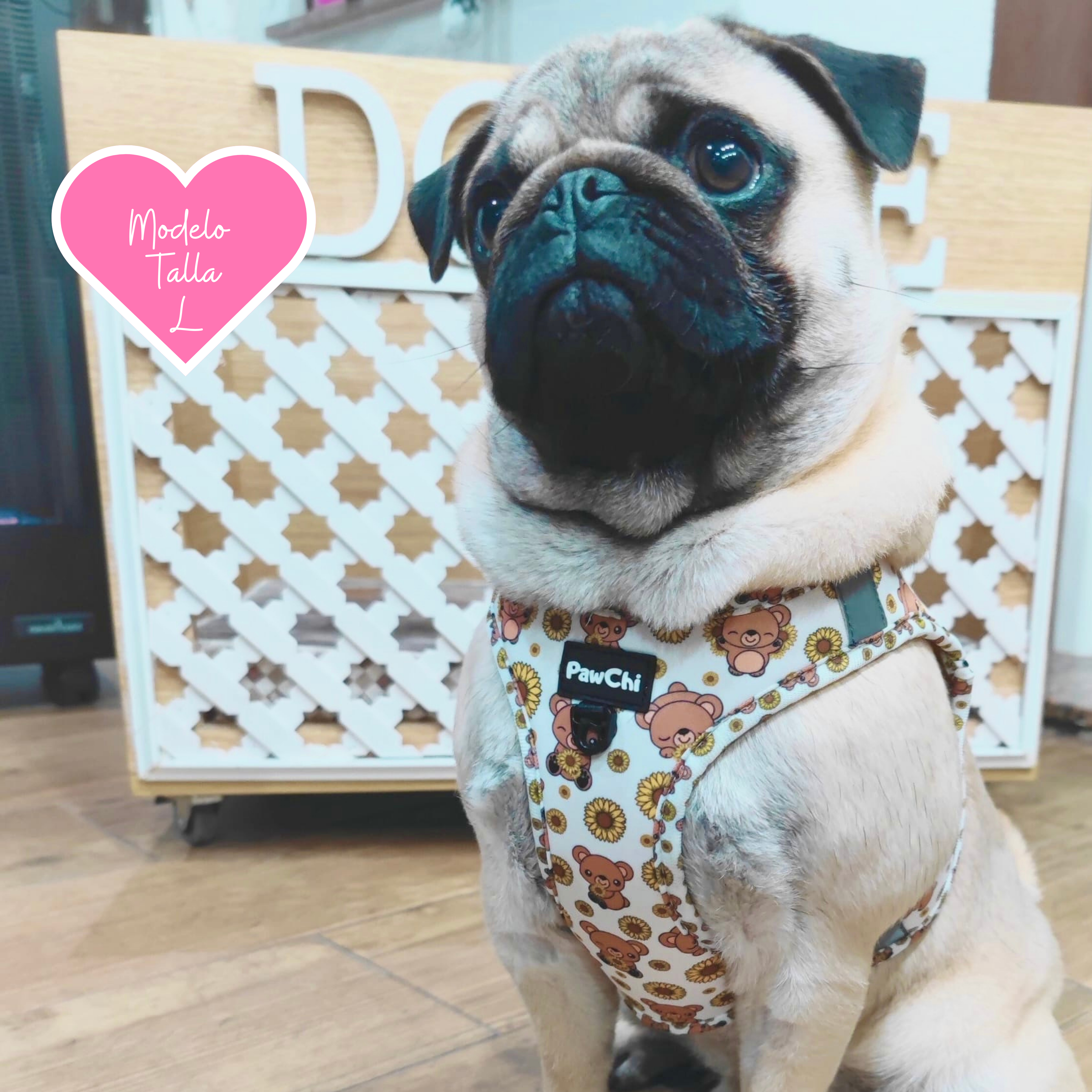 PawChi - Wholesale Pet Harness - Dog - SUNNY BEAR BODY HARNESS6