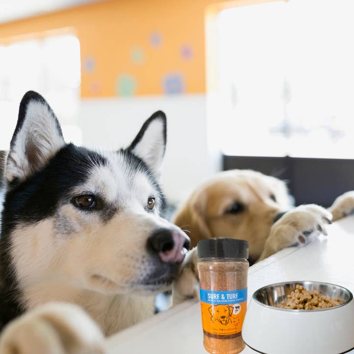 Live Pawsitive - Wholesale Pet Food - Dog - Surf and Turf, Beef and Salmon Food Topper