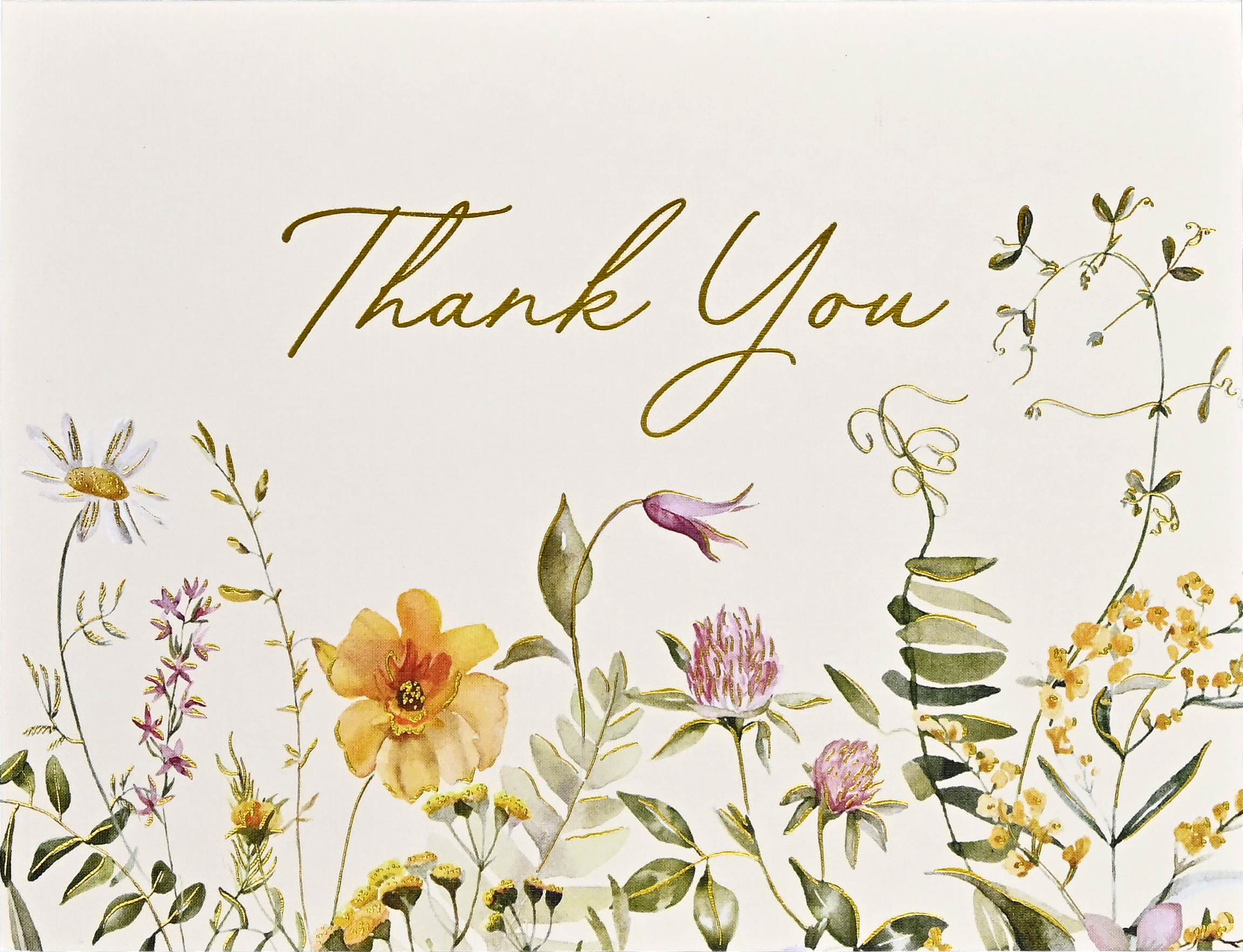 Peter Pauper Press - Wholesale Stationery/Notecard Set - Wildflowers Premium Thank You Note Cards3
