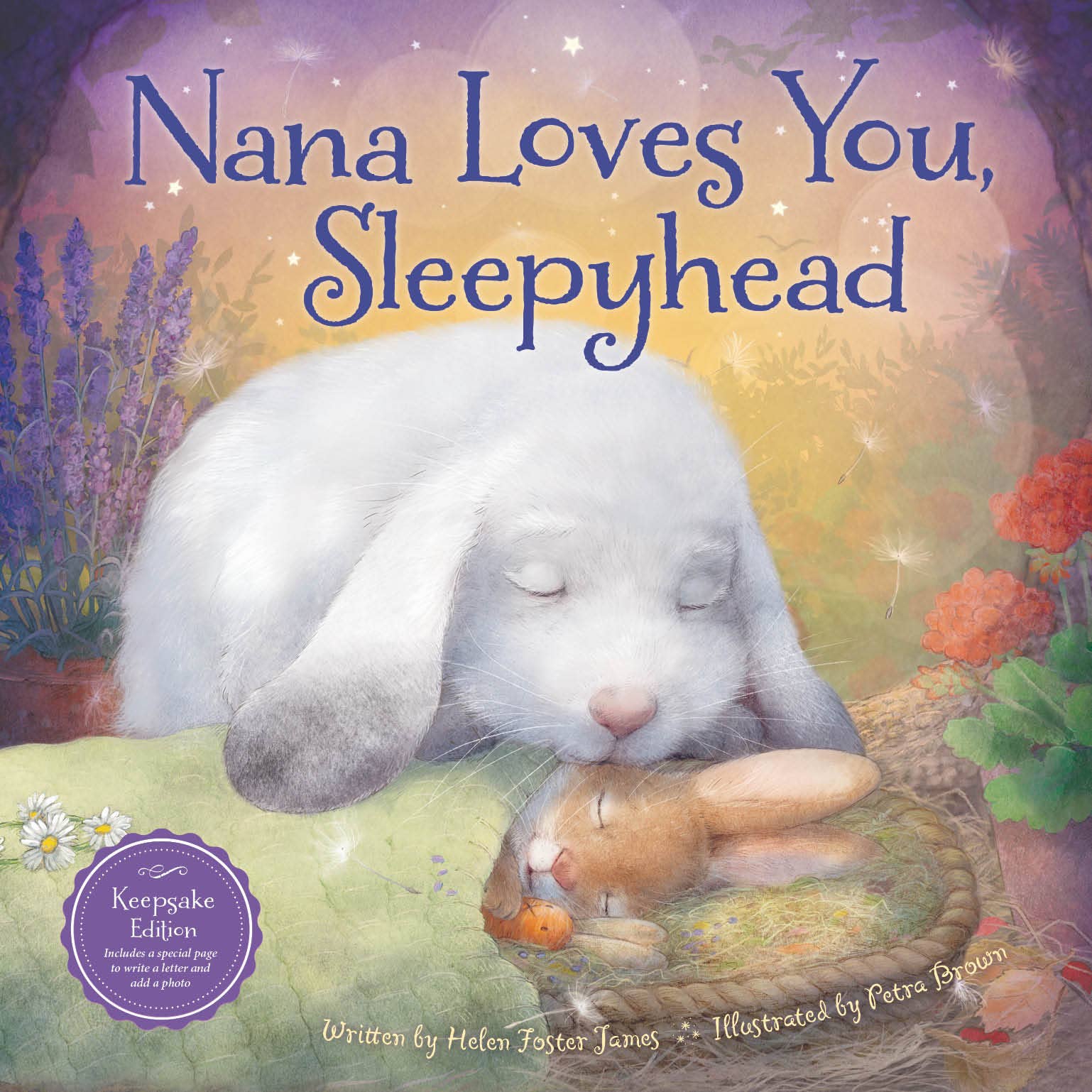 Sleeping Bear Press - Wholesale Baby & Toddler Book (0-2) - Nana Loves You, Sleepyhead Picture Book0
