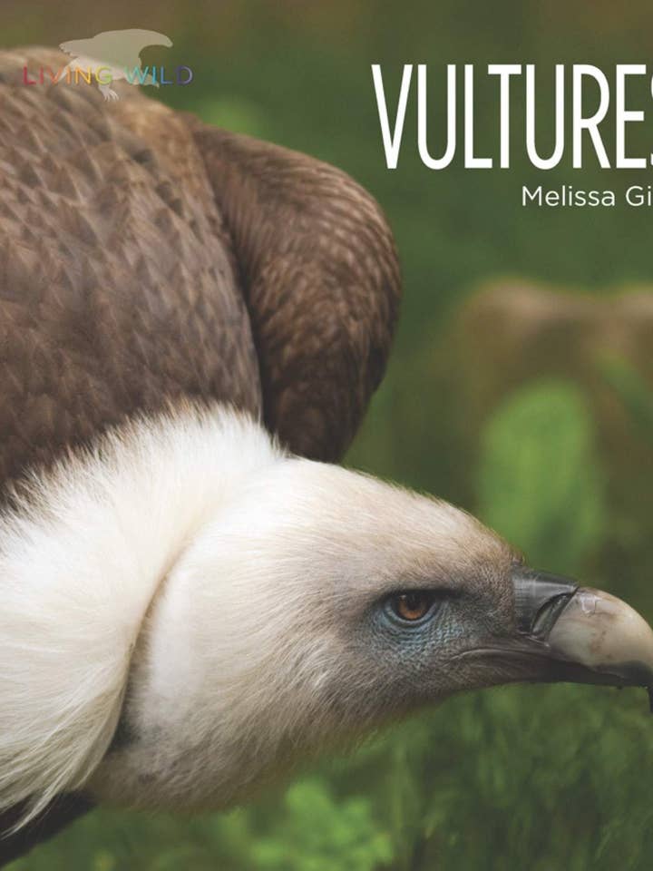 Living Wild: Vultures for wholesale by The Creative Company