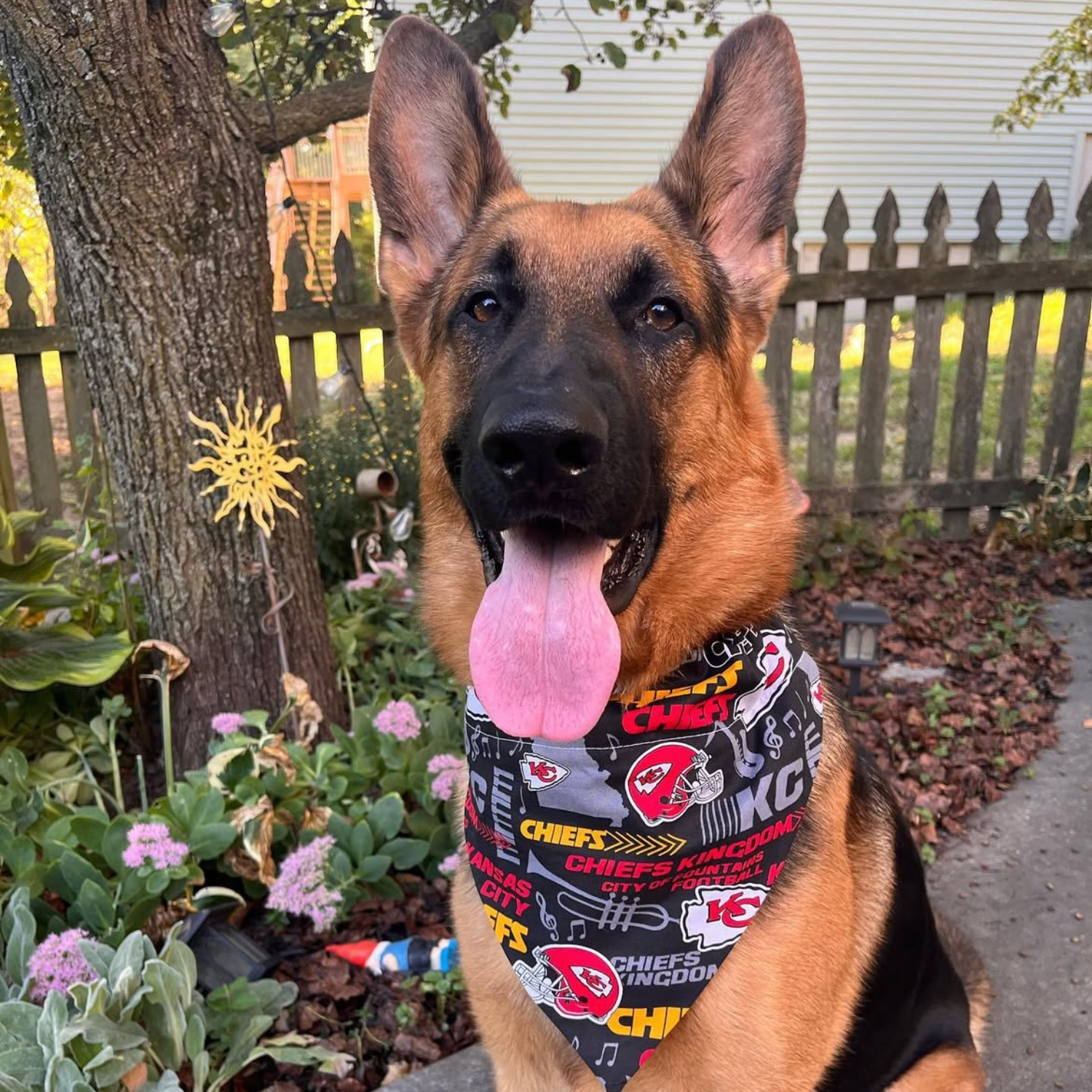 PawsAbilities - Wholesale Pet Bandana - Dog - Black Kansas City Chiefs Hometown Dog Bandana1