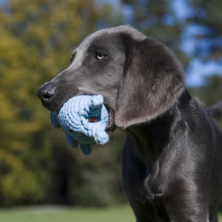 LABONI - Volentis GmbH - Wholesale Pet Rope Toy - Dog - Blanket TEDDY GREY - Multifunctional Blanket8