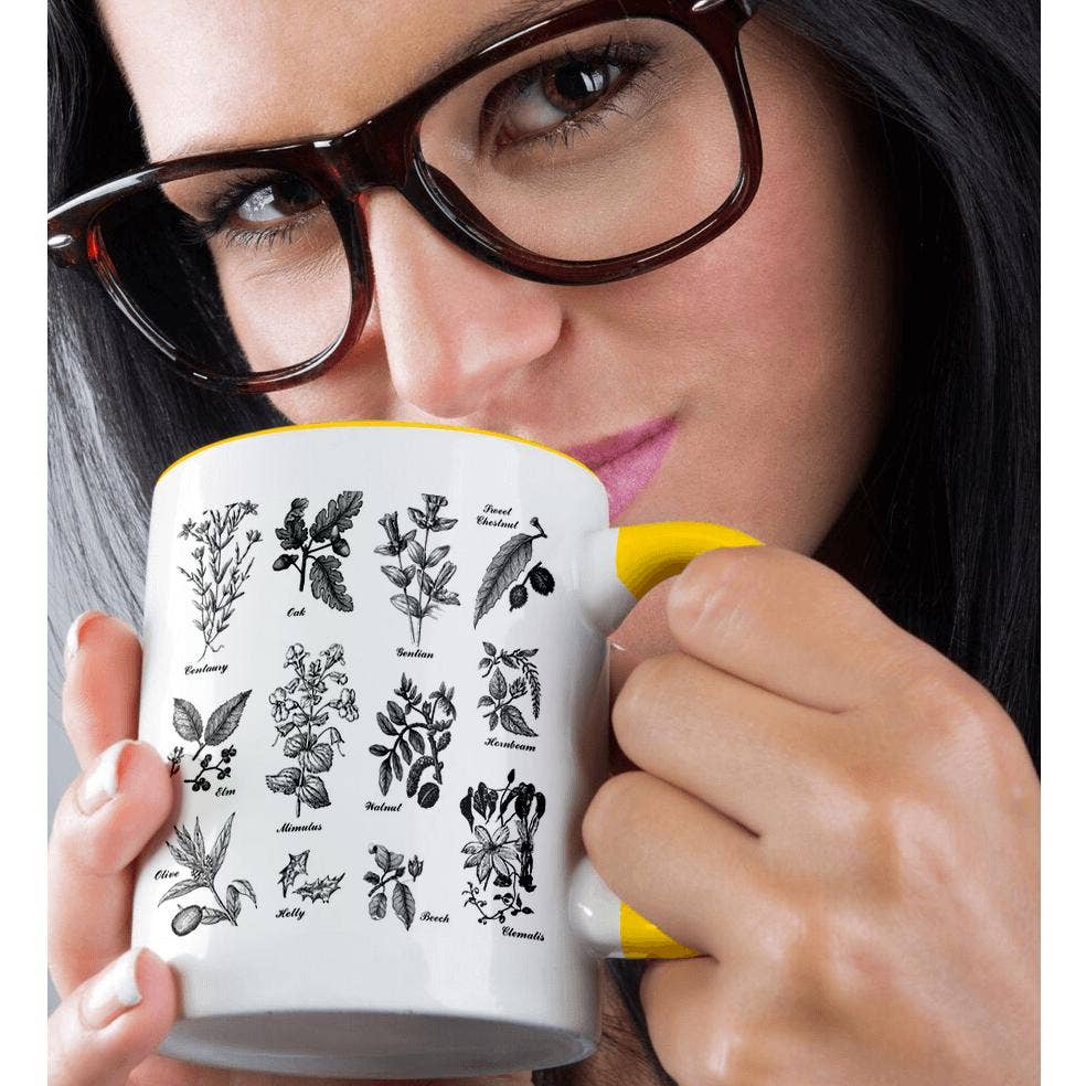 3dRose - Wholesale Coffee mug - 3dRose, Vintage Botanical Plants Trees Flowers Oak Elm Hornbeam Beech Centaury, Mug1