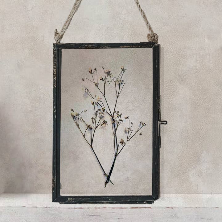 Coultura - Wholesale Dried/Pressed Flowers - Black Antique Pressed Flower Frame: Dried Baby's Breath - Small2