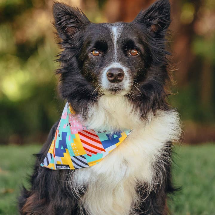 Stylish Hound - Vendita all'ingrosso Bandana - Cani - Bandana Milano