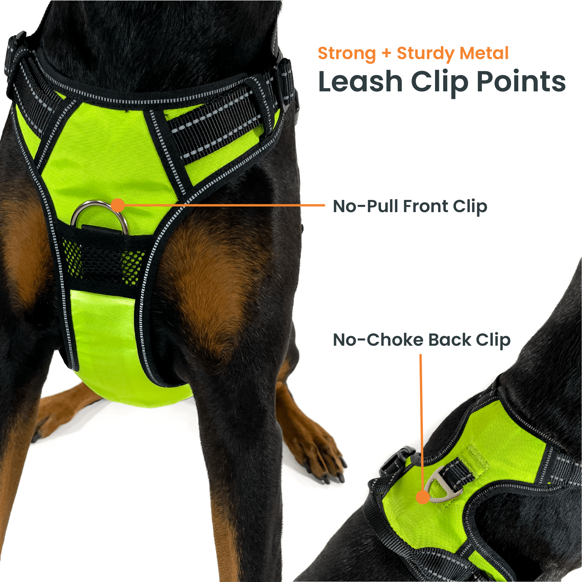 4Knines – Großhandel Haustierdecke – Hund – Hundegeschirr3