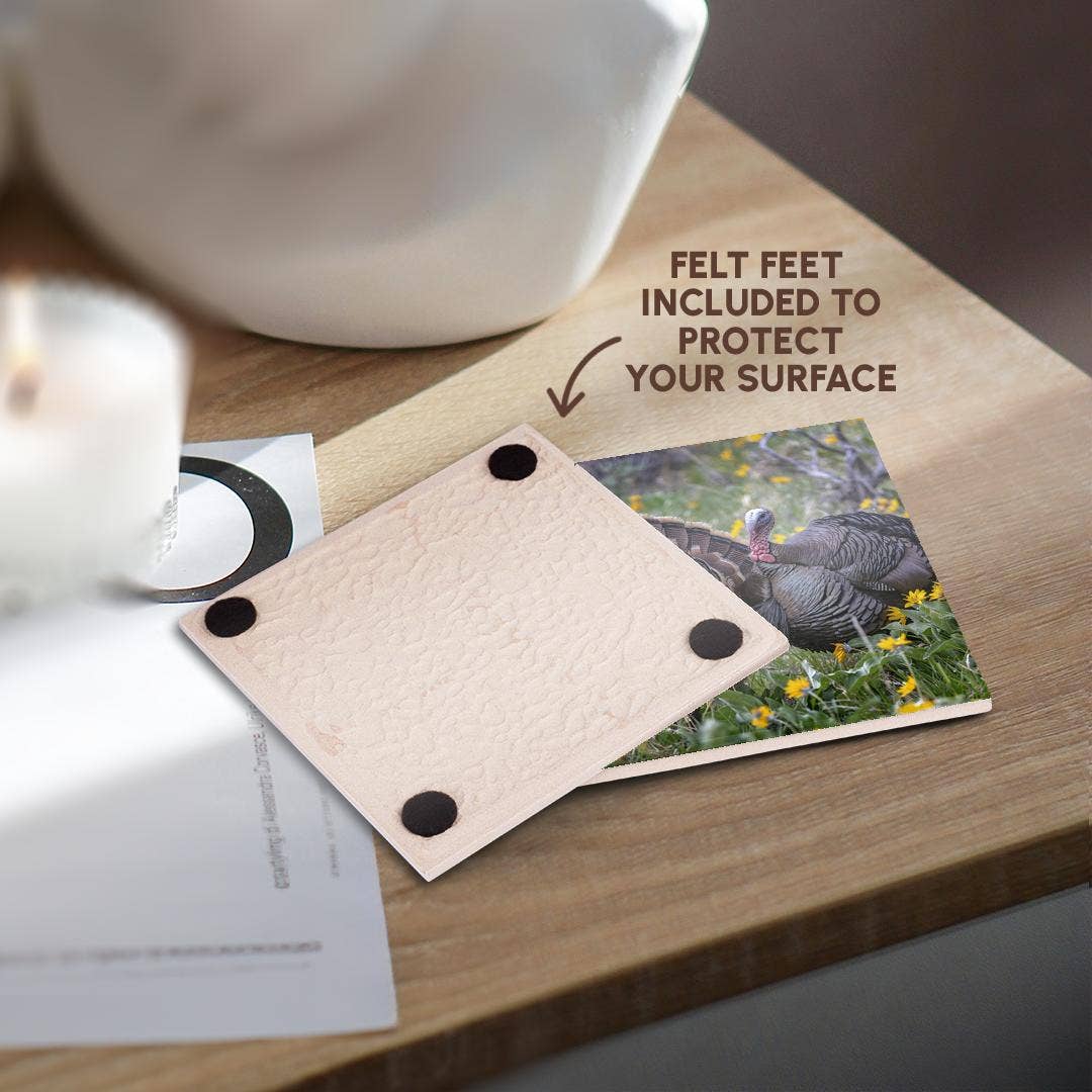 3dRose - Wholesale Coasters - 3dRose, Tom turkeys in breeding plumage in Great Basin NP, Nevada, USA, Coaster3