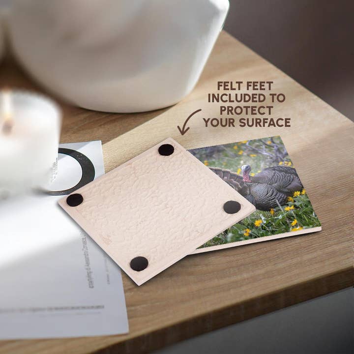 3dRose - Wholesale Coasters - 3dRose, Tom turkeys in breeding plumage in Great Basin NP, Nevada, USA, Coaster3