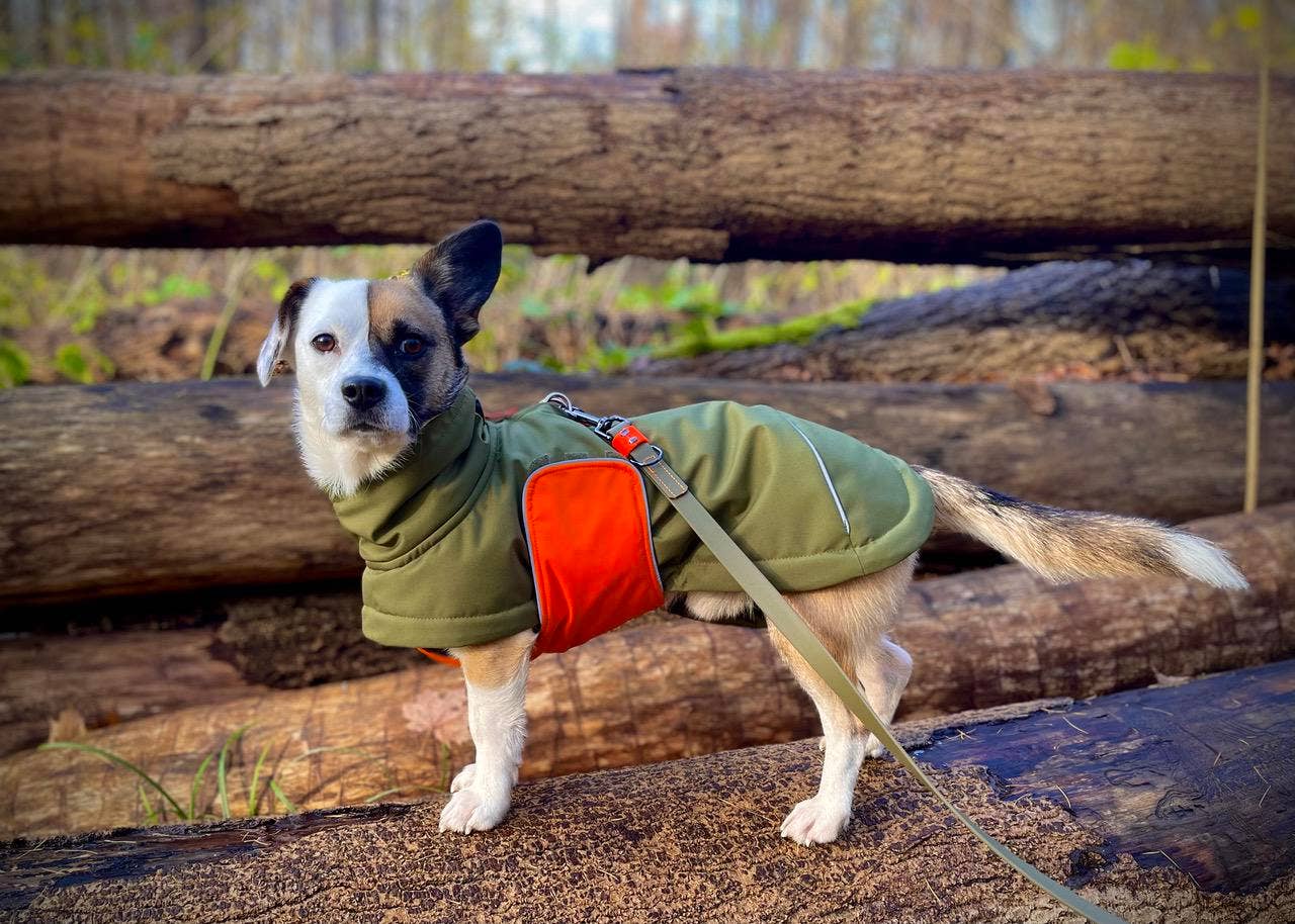 oliven Hundevinterjakke Oskar olive for engroshandel på Faire5