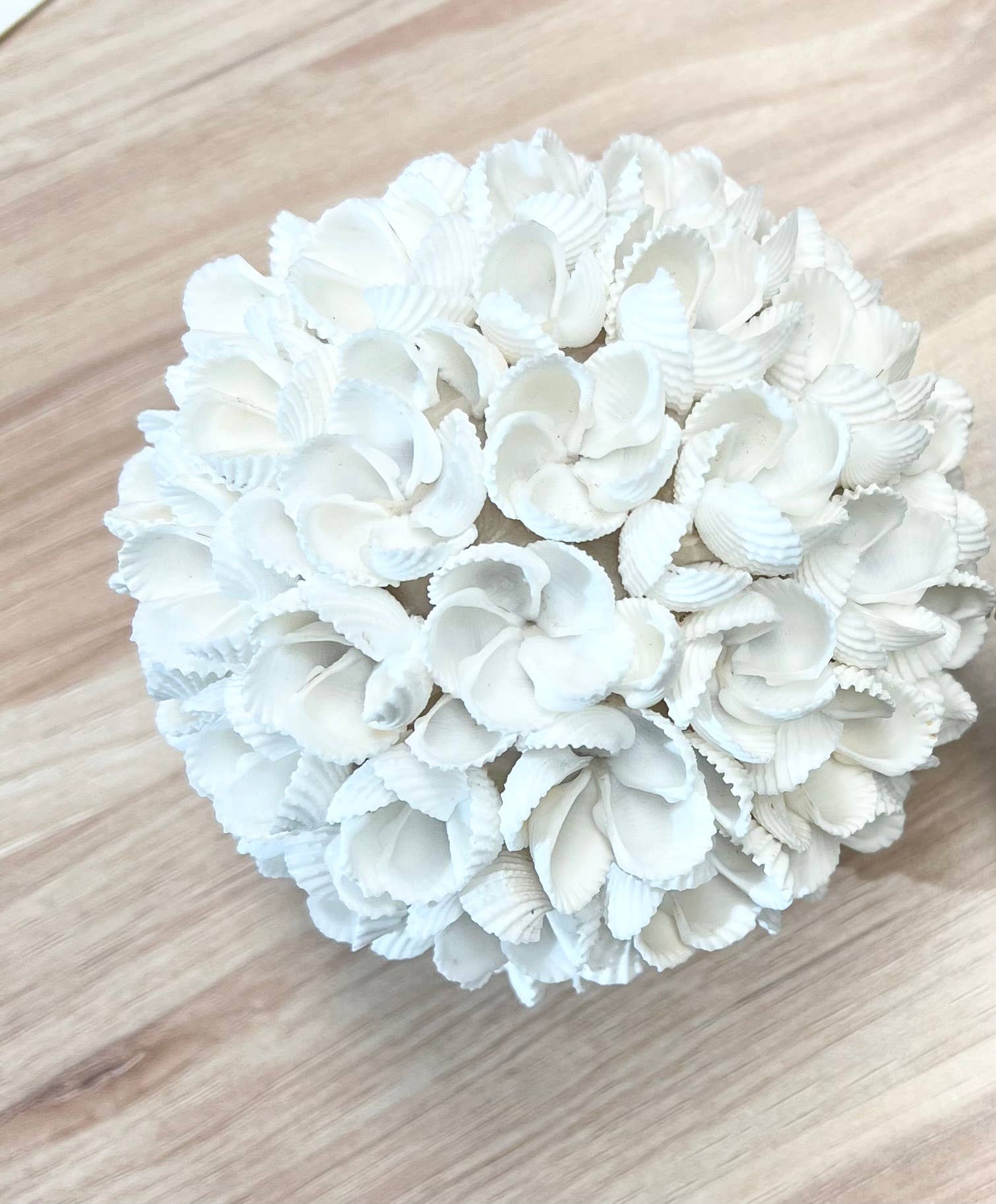 Bamboo Source Tropical Decor - Wholesale Tafelbladdecoratie - Zeester Bal Decoratie - Wit1