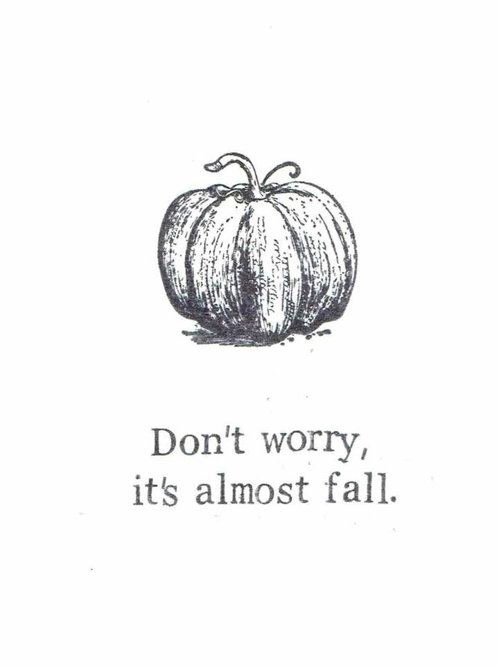 Biglietto Don't Worry It's Almost Fall | Divertente biglietto gotico con zucca per la vendita all'ingrosso da parte di BlueSpecsStudio