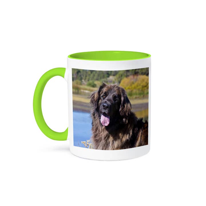 3dRose, Portrait of a leonberger., Mug and other Purchase Wholesale leonie mineralwasser. Free Returns & Net 60 Terms on Faire trending on Faire.