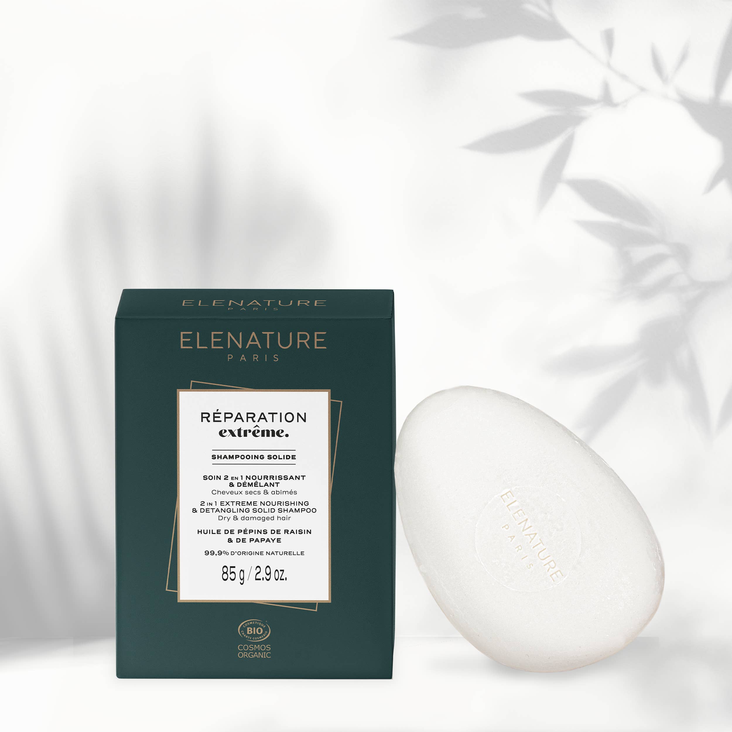 Carton Boxes packaging