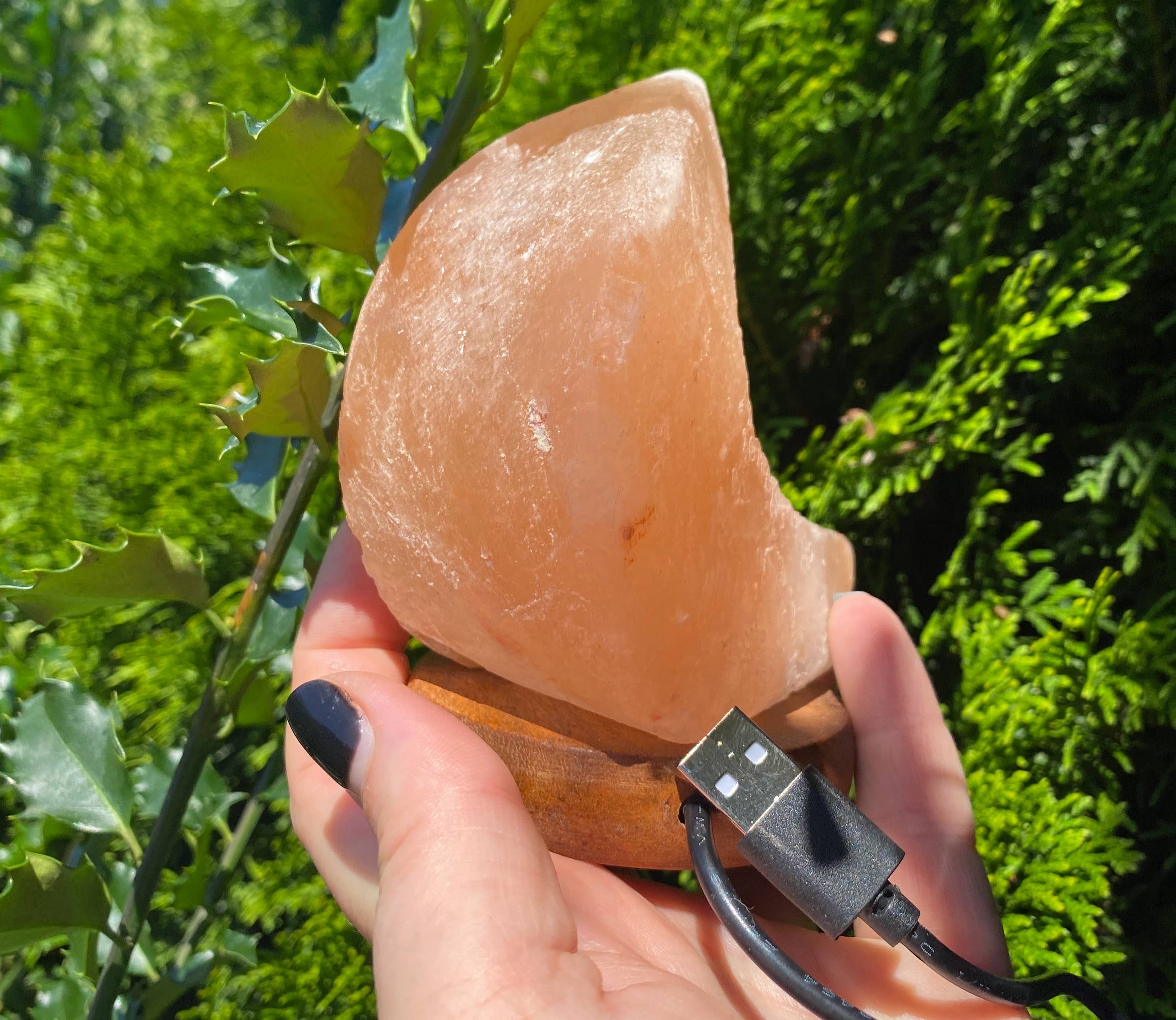 Coconut Quartz – Candeeiro de sal por atacado – Luminária de Sal Rosa do Himalaia em Forma de Lua Crescente com Luz Noturna7