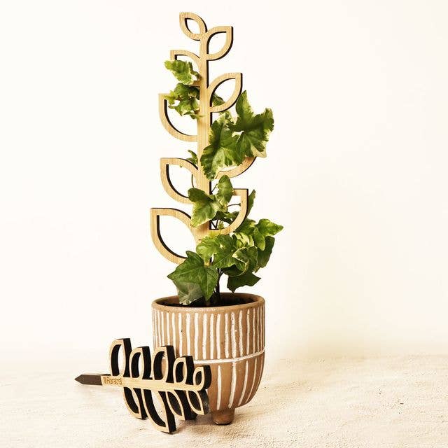 Floratrel - Wholesale Trellis - The Sappling Trellis For Indoor Plants0