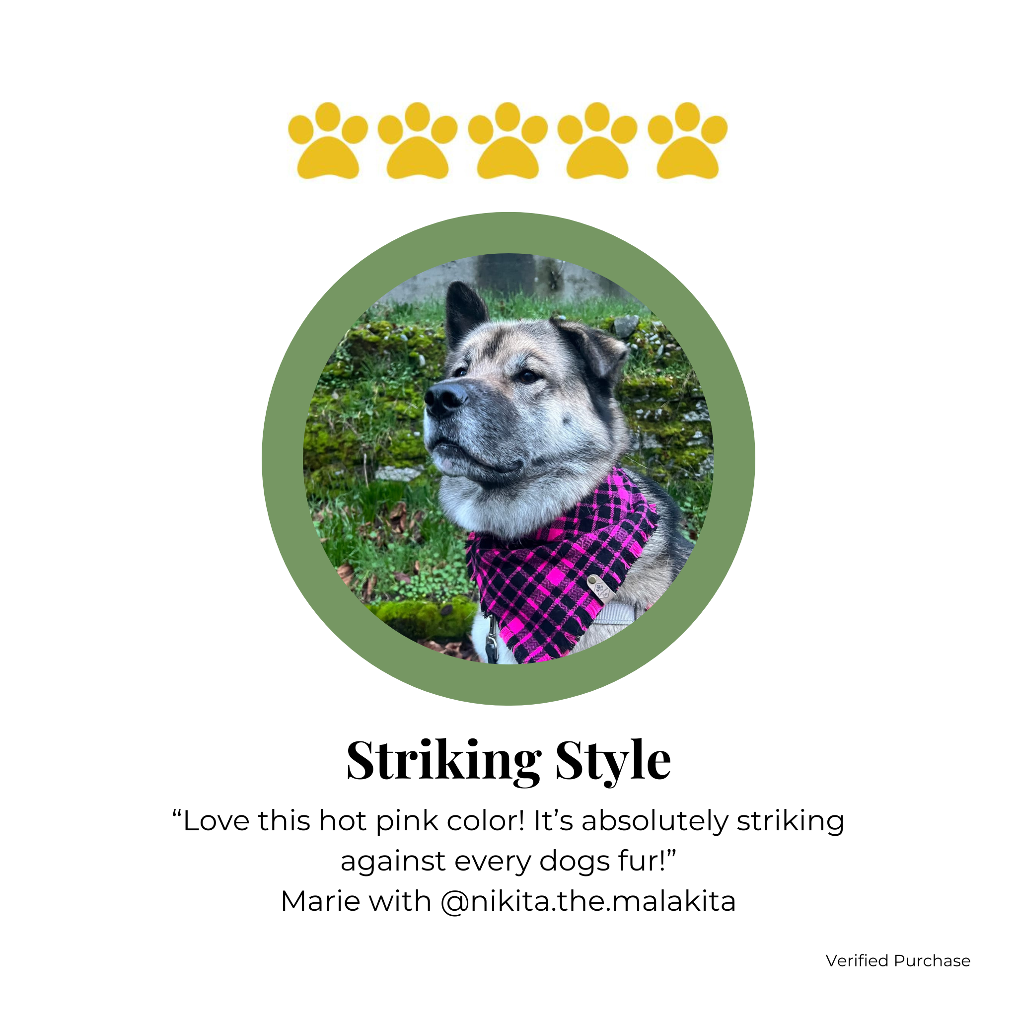 The Luminous Pets - Vendita all'ingrosso Bandana - Cani - Bandana a Quadri Rosa | Bandana per Gatti e Cani | Bottoni a Pressione Regolabili7