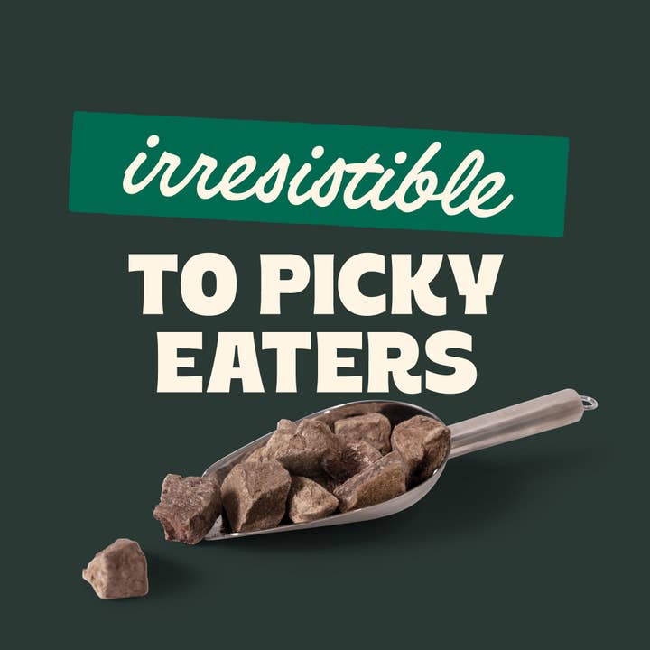 Bridger Bites, LLC - Wholesale Pet Treats - Dog - Freeze-Dried Beef Liver7