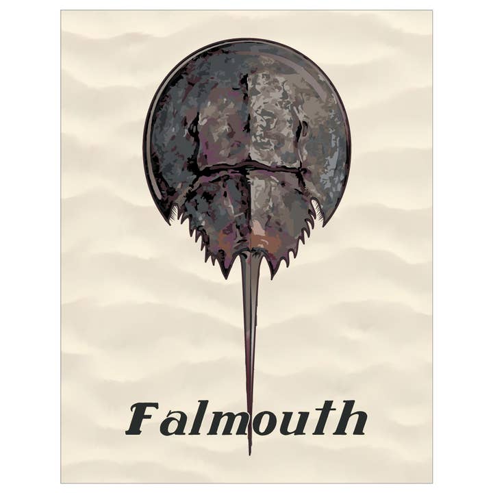 2.5 x 3.5 Falmouth Horseshoe Crab Magnet for wholesale by Fridgedoor