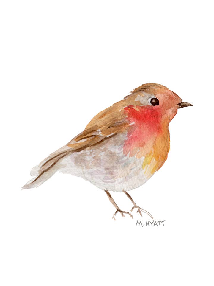 Stampa giclée «Sweet Robin» per la vendita all'ingrosso da parte di Melissa Hyatt