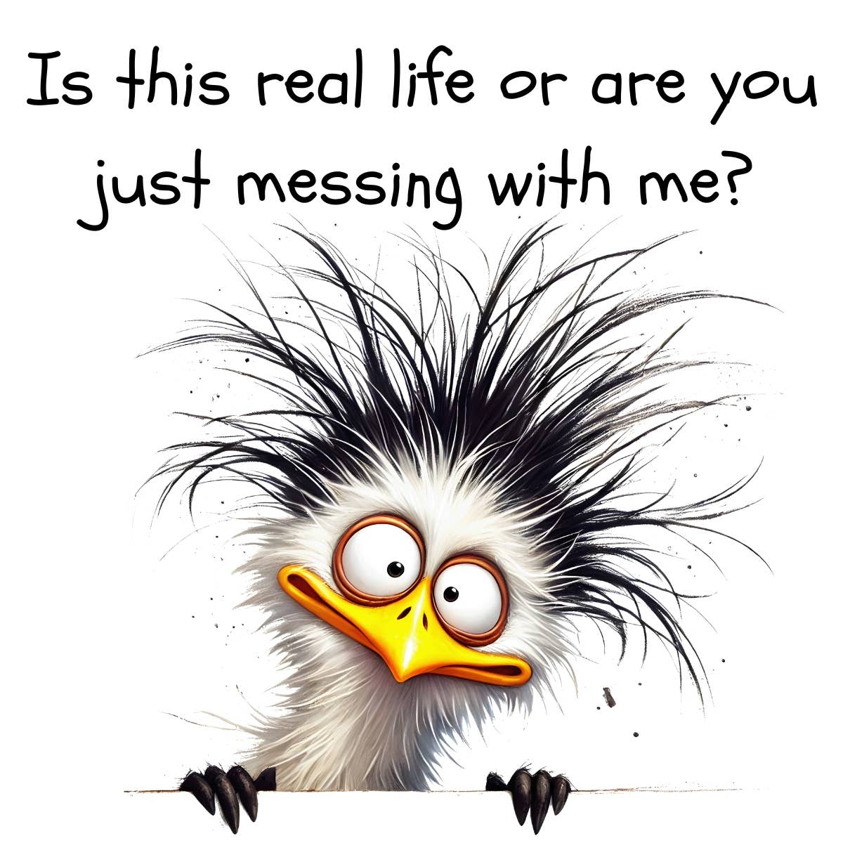 Nimblepic - Wholesale Magnet - Magnets - Sassy Gallery 46