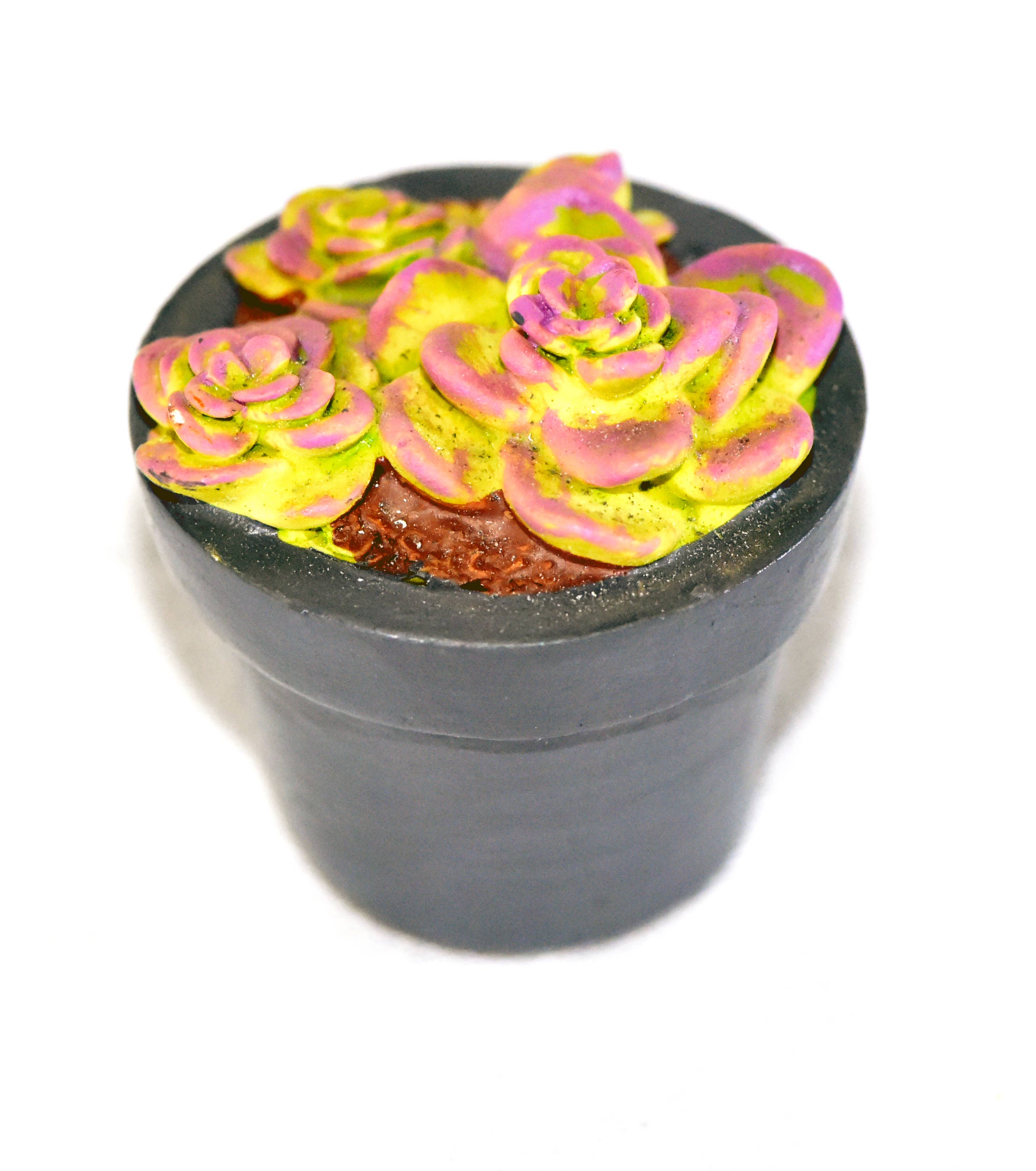 G & F Products - Wholesale Succulent - Garden Miniature Succulent, 4 pc3