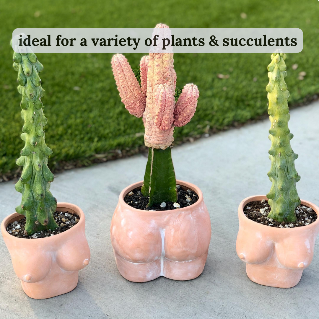 Simply Supplied Co – wholesale Kruka – Boob Kruka | Terrakotta Kruka | Roliga Bröst Kaktus Unik7