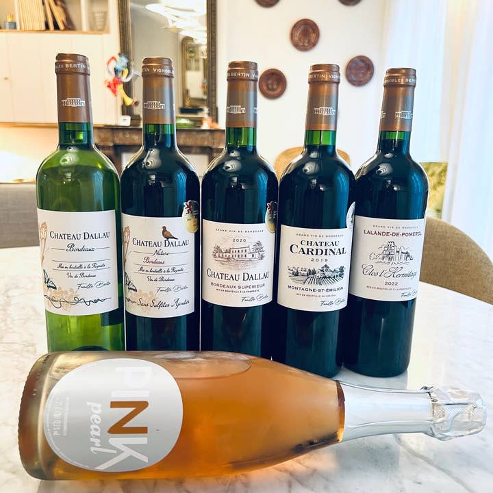 Vignobles Bertin - Wholesale Wine Gift Bag - Discovery box 6 bottles NEW0