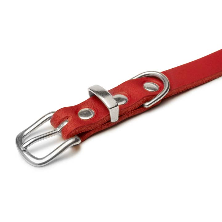 Molly and Stitch - Wholesale Pet Collar - Dog - Butter Leather Dog Collar - Chili Red9