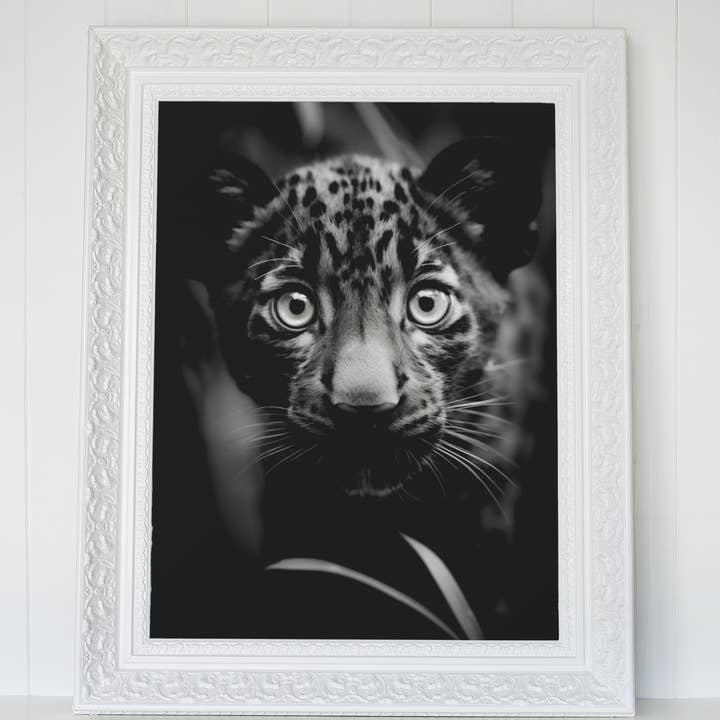 Paperwhite Baby Panther Poster - Vintage Foto - Schwarz und Weiss für den Großhandel auf Faire2