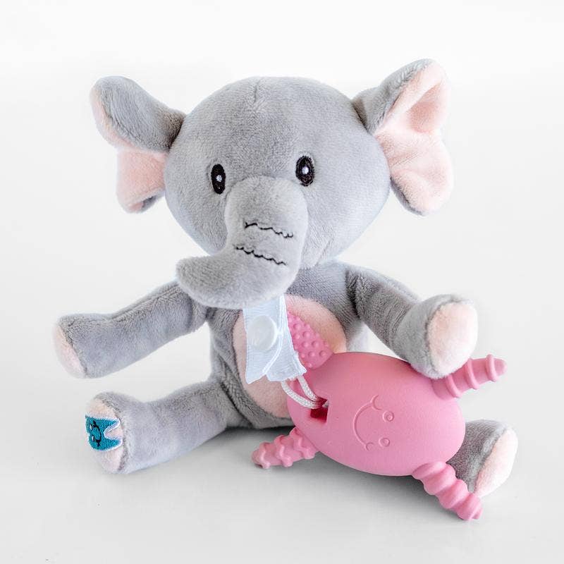 teething egg molar