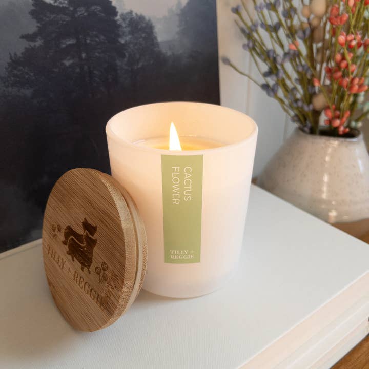 Tilly + Reggie - Wholesale Jar/Filled Candle - Soy Wax Candles | Classic Collection | Cactus Flower2