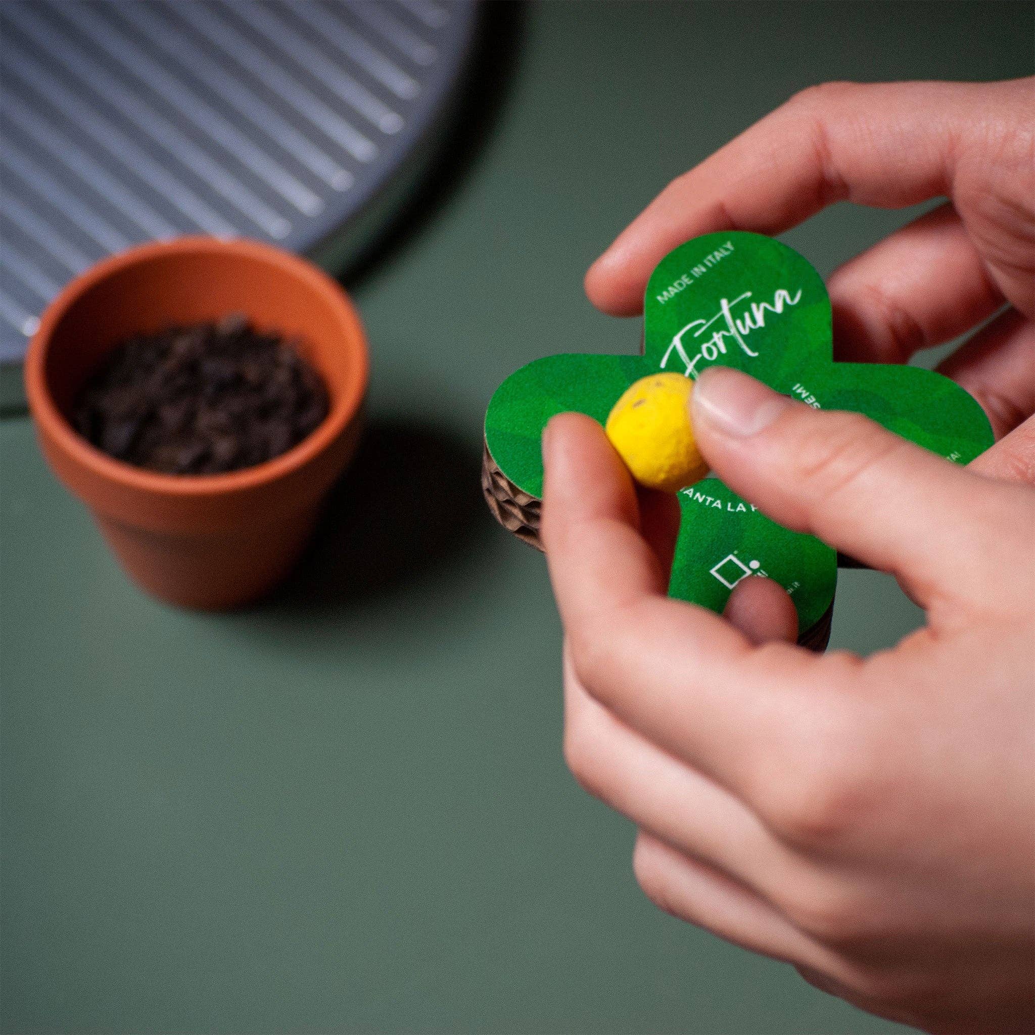 Rippotai – Engroshandel Plantefrø – Miljøvenlig kunstig blomst med ægte blomsterfrø - 2 stk3