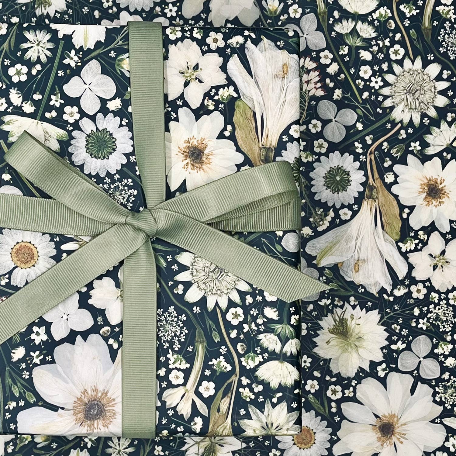 Lucy Miller Pressed Flowers - Wholesale Flat Wrap - Botanical Gift Wrap – Pressed White Flowers on Black3
