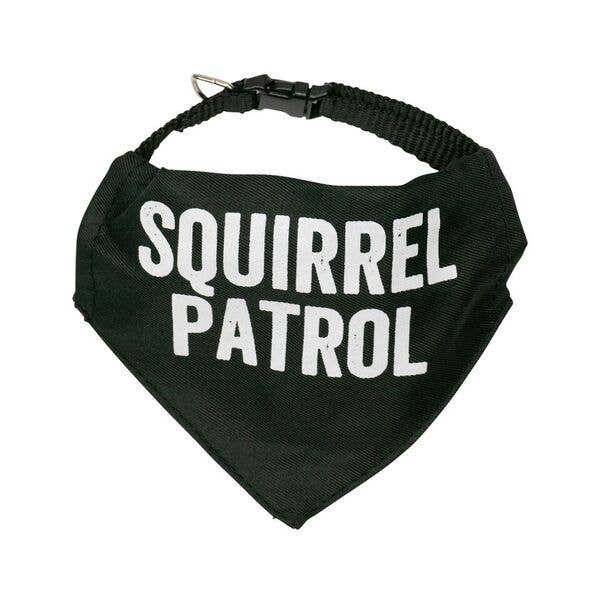 Squirrel Patrol Patch, Squirrel Patrol Dog Tag, Dog Bandana