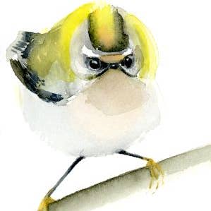 Rei-das-florestas-de-coroa-dourada ~ "Espirituoso" ~ Pequenas Maravilhas ~ Impressão Giclée por atacado de Holly Wach Art LLC