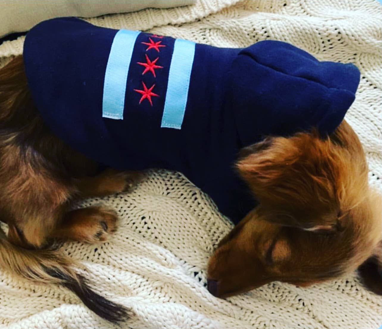 tori grace outfitters - Vente Sweat à capuche – chien - sweat à capuche pour chien Chicago Flag, pull brodé pour chien Chicago7