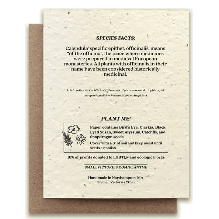 Small Victories - Wholesale Everyday Greeting Card - Calendula Plantable Wildflower Seed Card1