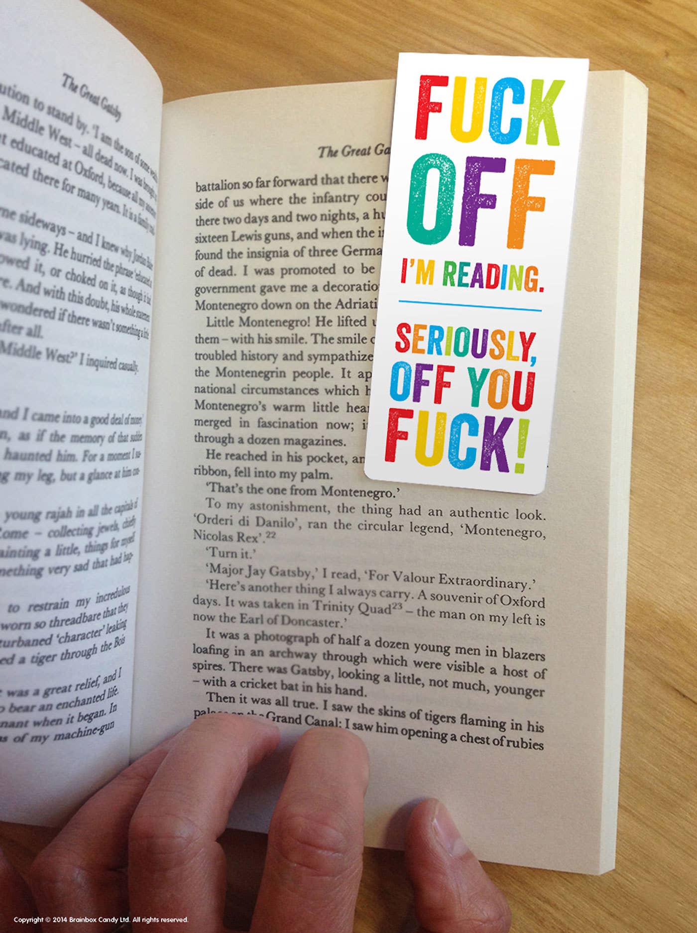 Brainbox Candy - Wholesale Bookmark - Funny Magnetic Bookmark - Fuck Off Im Reading2