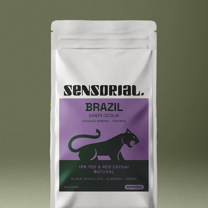 Spezialitätenkaffee aus Brasilien | IPR 100 & Roter Catuai | 250 GR für den Großhandel von Sensorial Coffee Roasters